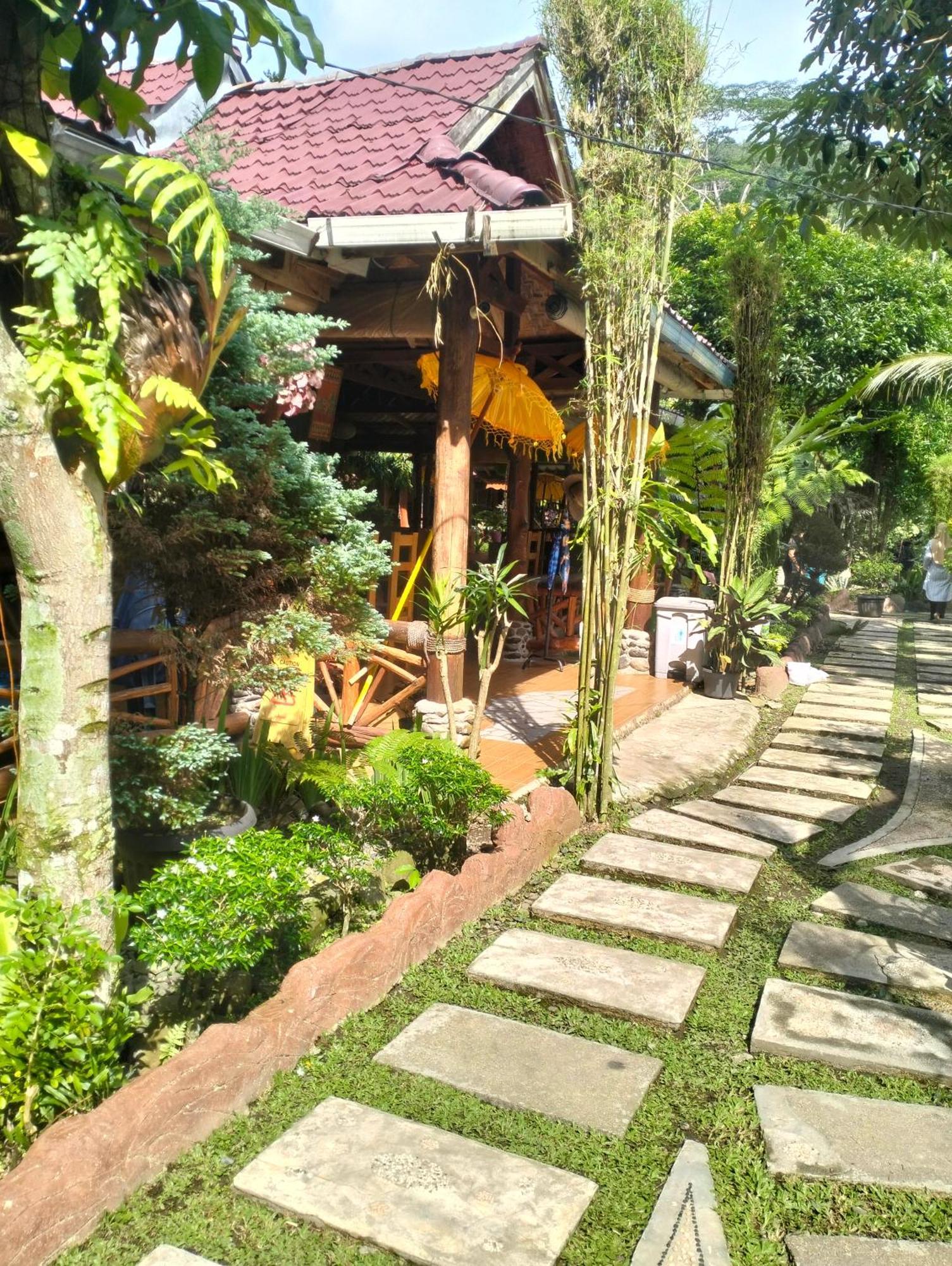 Junia Guesthouse Bukit Lawang Exterior photo