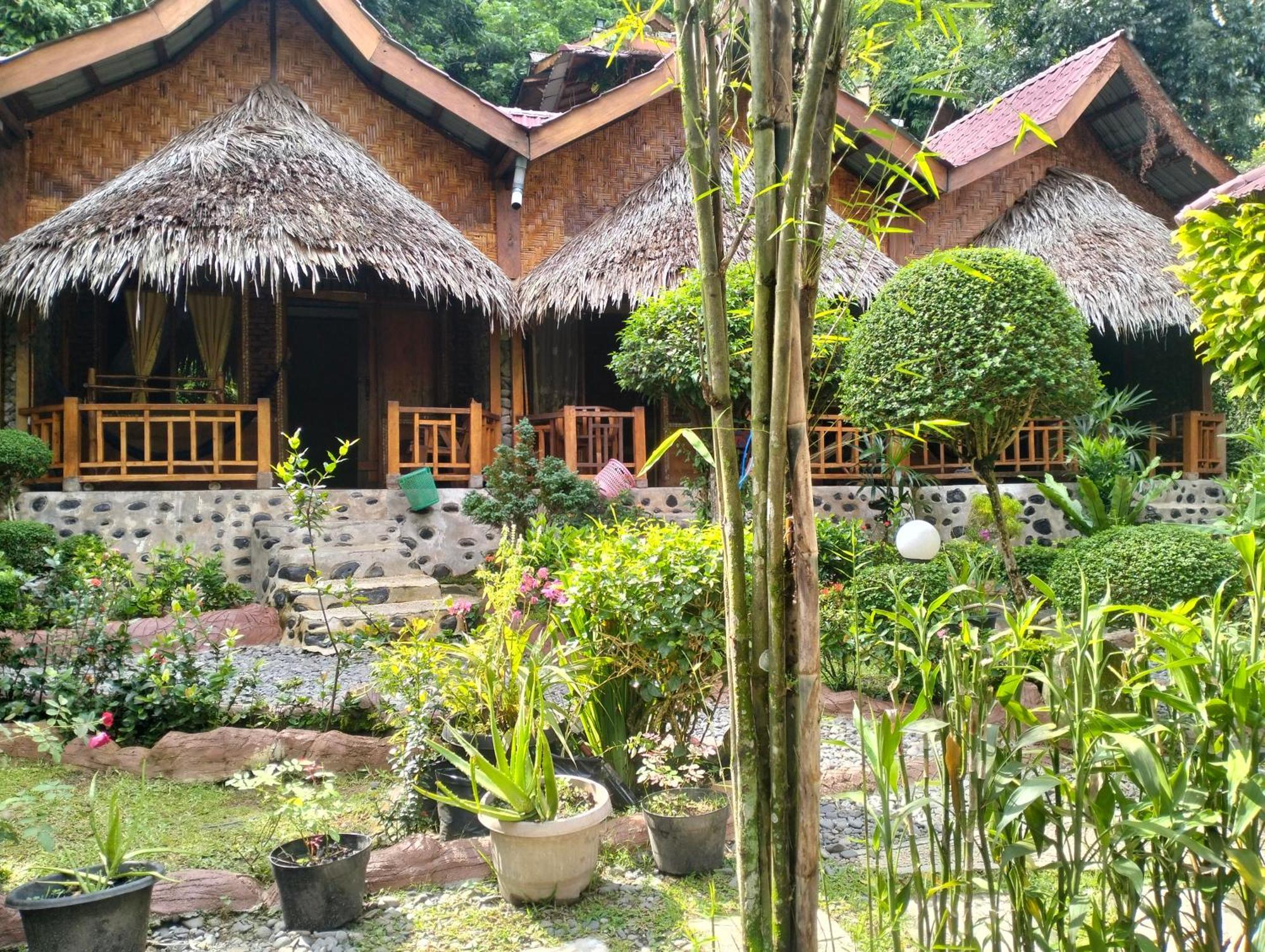 Junia Guesthouse Bukit Lawang Exterior photo