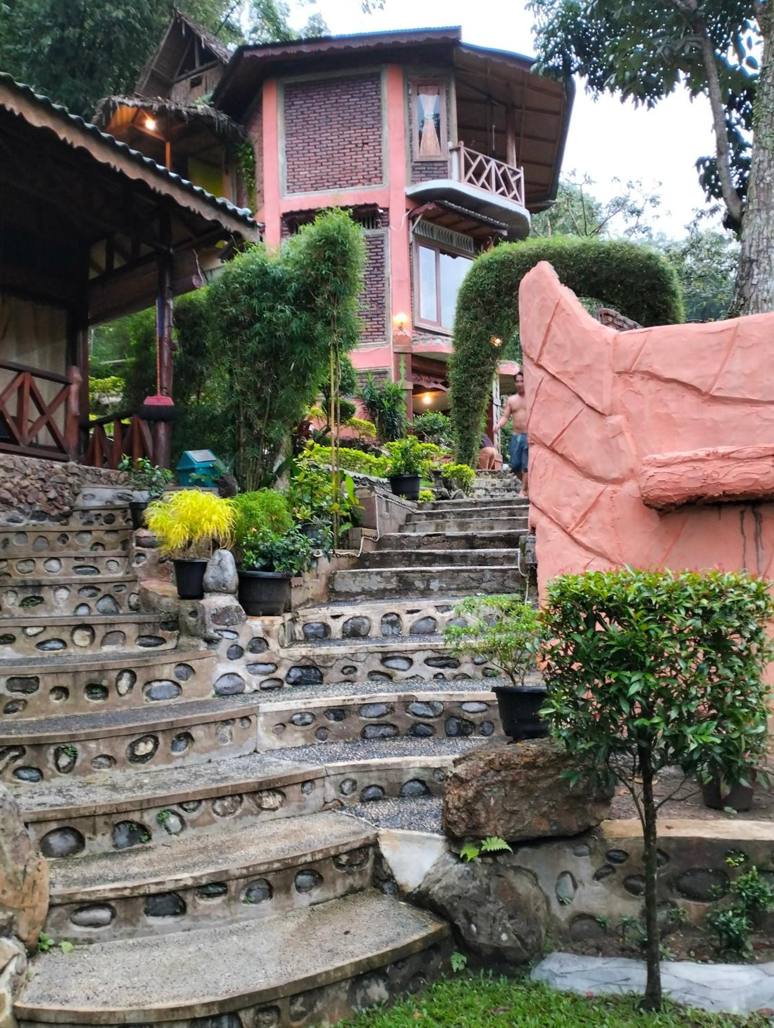 Junia Guesthouse Bukit Lawang Exterior photo