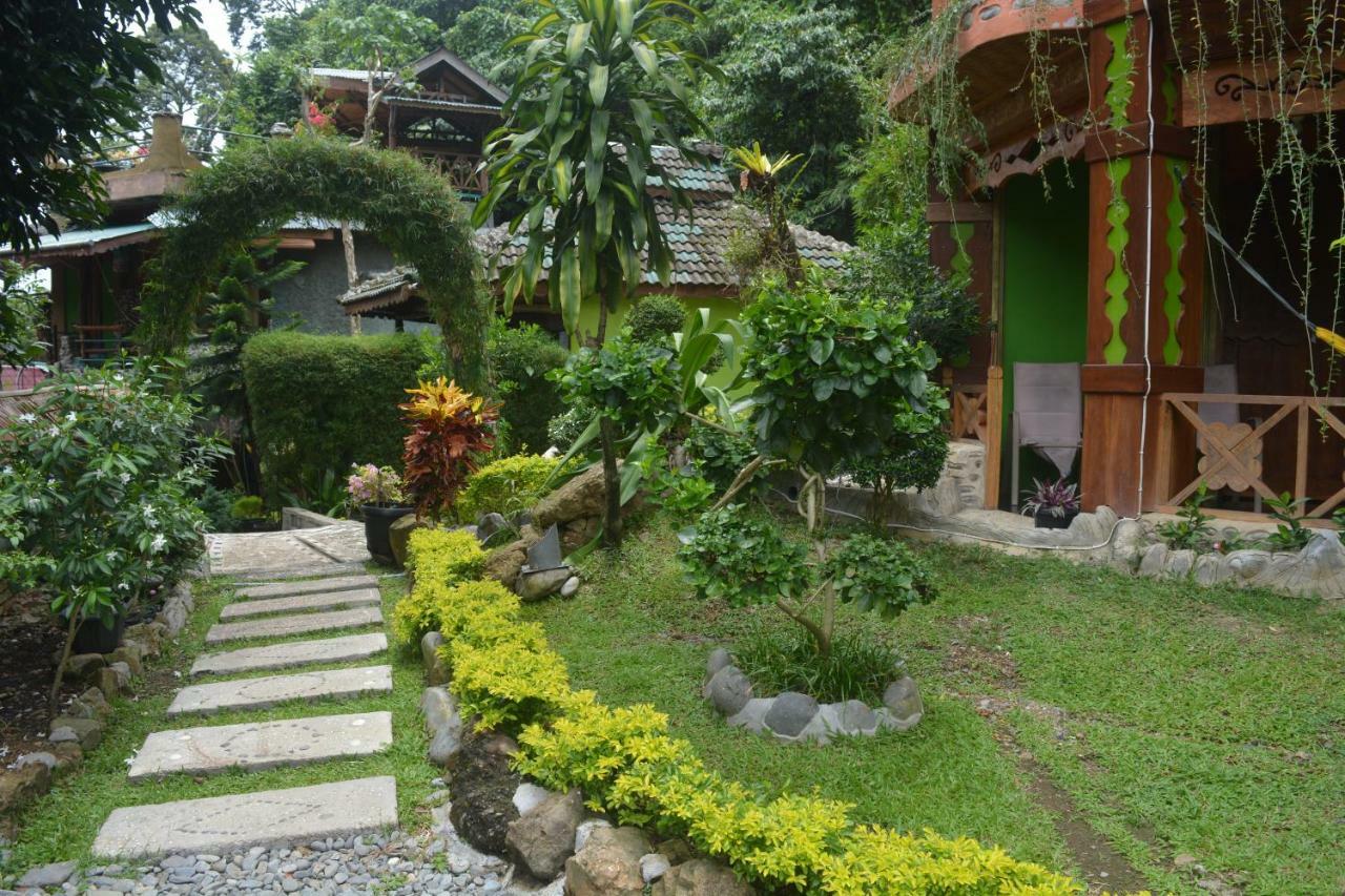 Junia Guesthouse Bukit Lawang Exterior photo